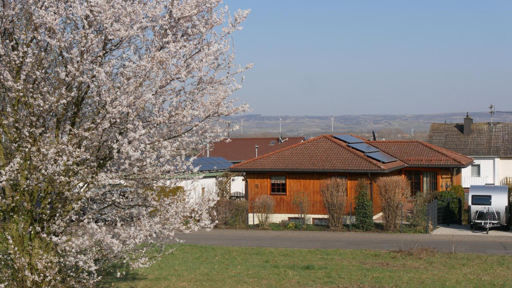Ferienwohnung An Den Weingaerten Langenlonsheim Екстер'єр фото